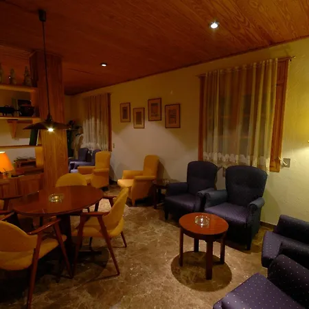 Hotel Els Puis *