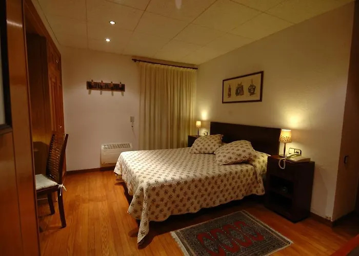Hotel Els Puis *