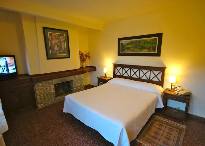 Hotel Els Puis *